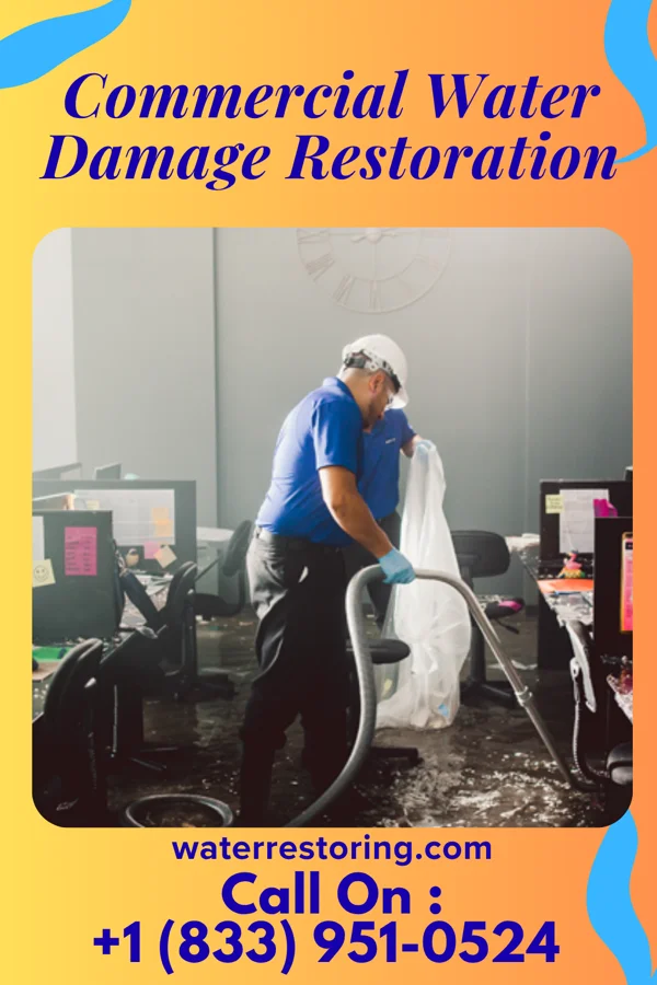 Commercial Water Damage Restoration in Wood River, NE