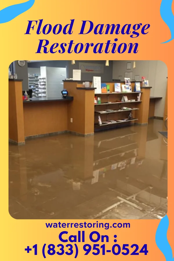Flood Damage Restoration in Wood River, NE