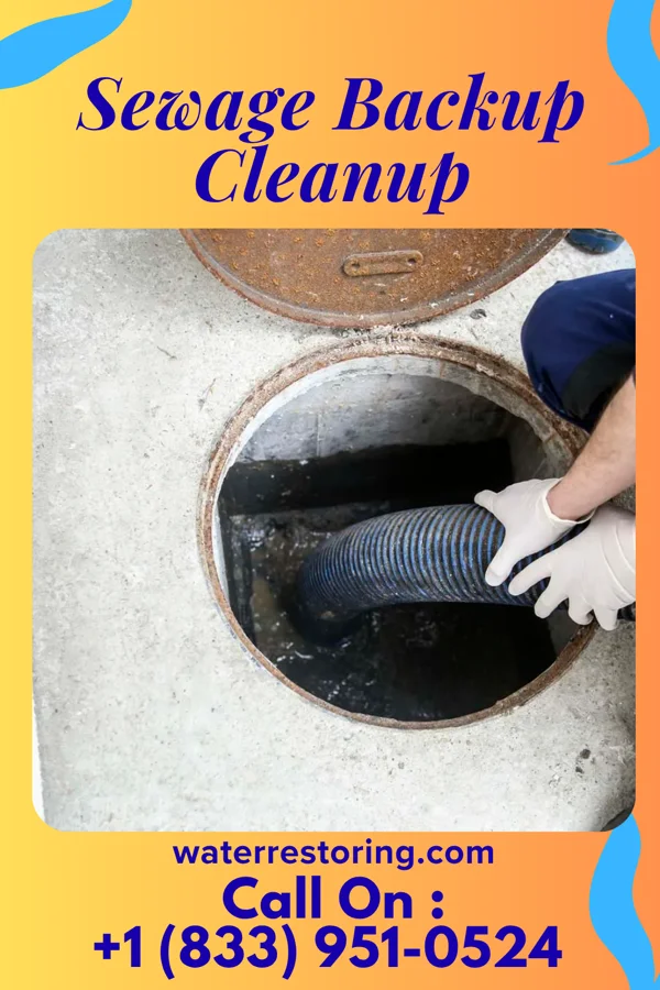 Sewage Backup Cleanup in Wood River, NE