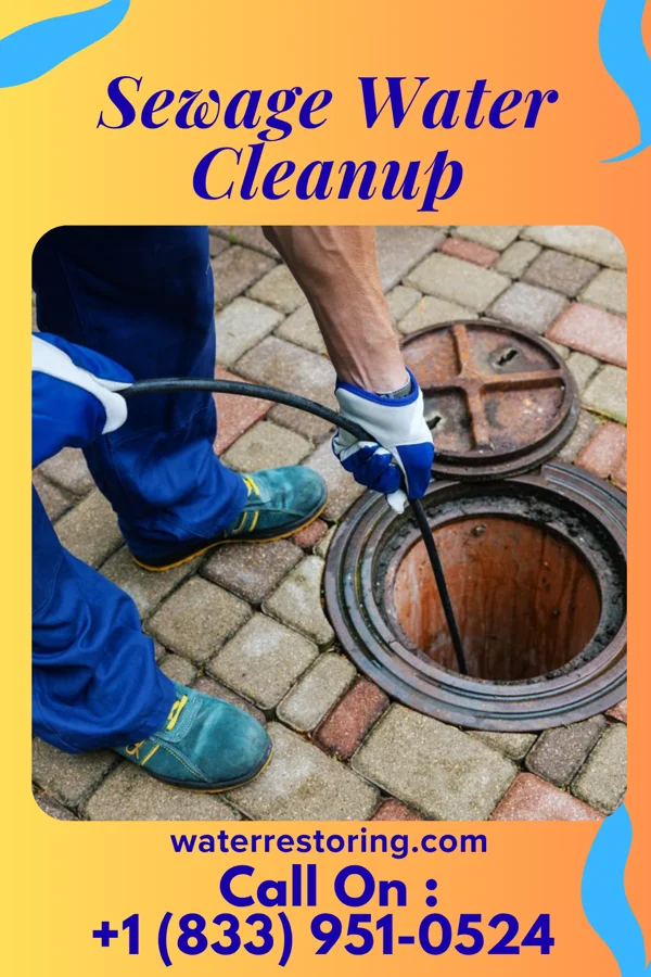 Sewage Water Cleanup in Wood River, NE