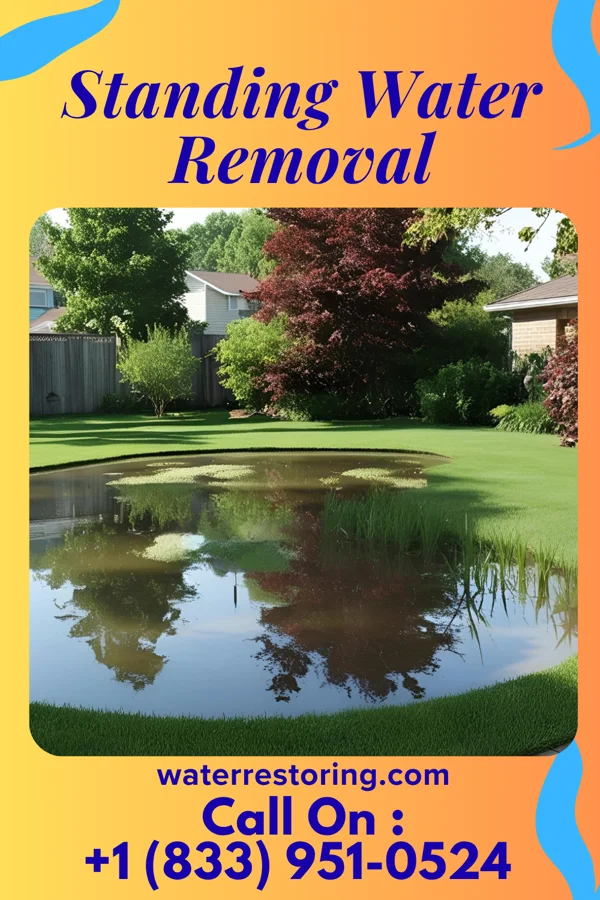 Standing Water Removal in Wood River, NE